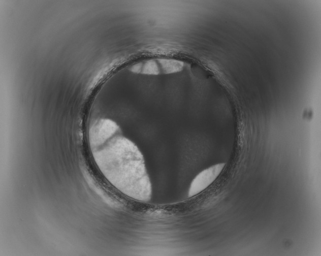 X0000111910634200908241027