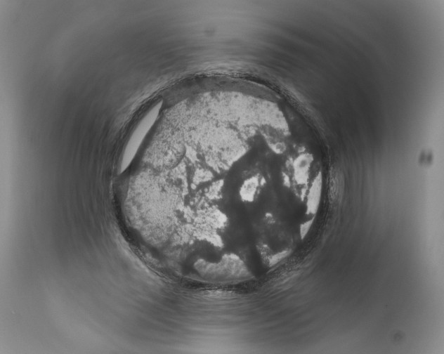 X0000111910637200908241027