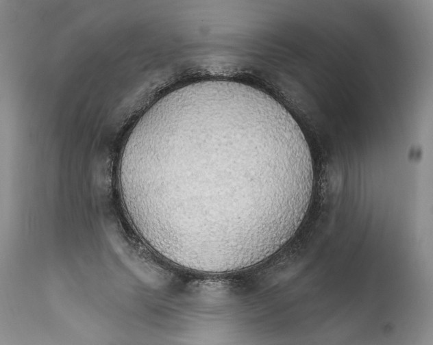 X0000111910639200908241027