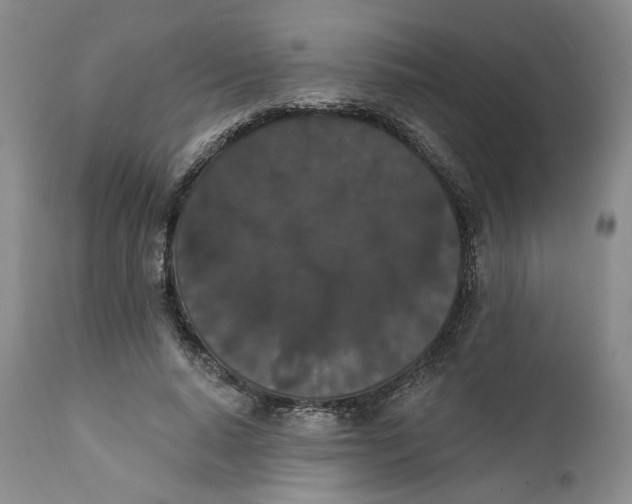 X0000111910640200908241027
