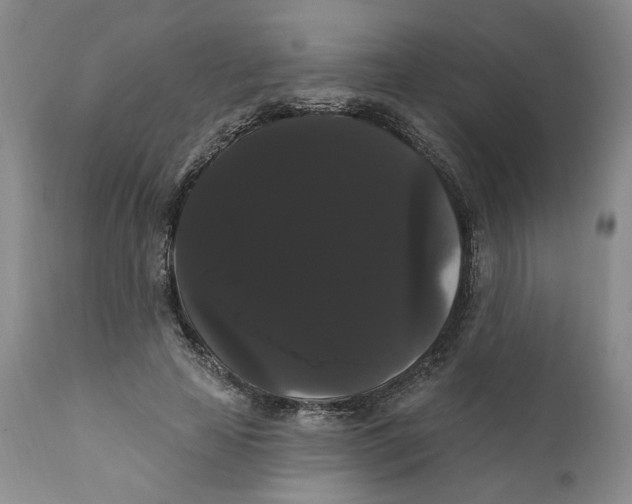 X0000111910641200908241027