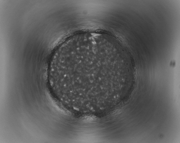 X0000111910642200908241027