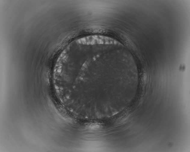 X0000111910643200908241027