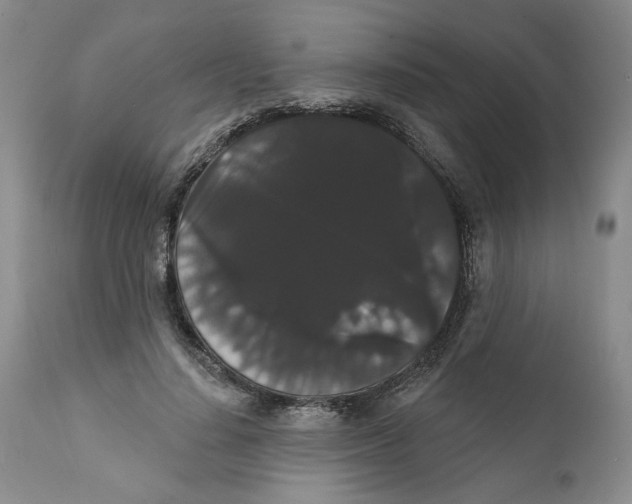 X0000111910644200908241027