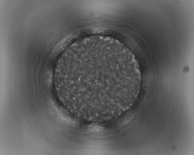 X0000111910648200908241027