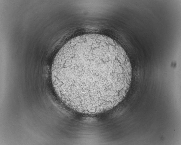 X0000111910649200908241027