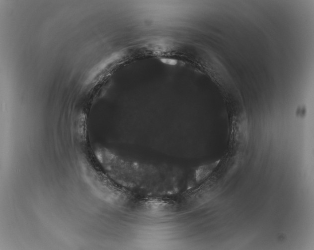 X0000111910650200908241027