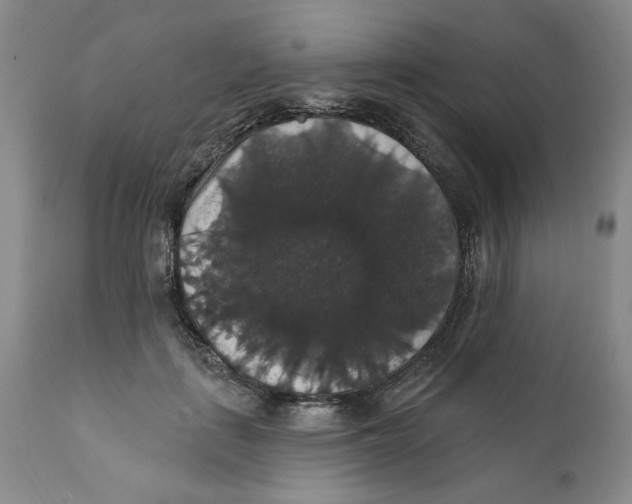 X0000111910651200908241027