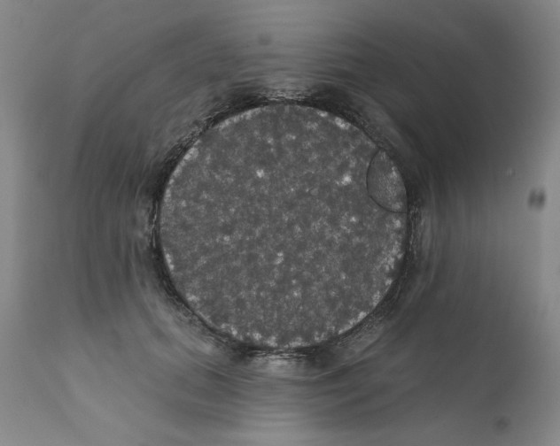 X0000111910655200908241027