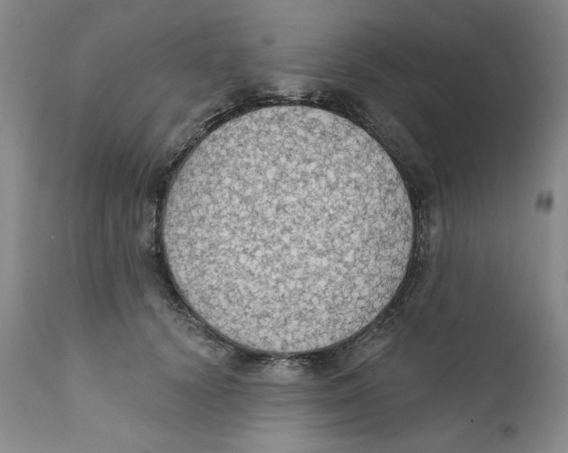 X0000111910656200908241027