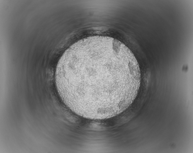 X0000111910657200908241027