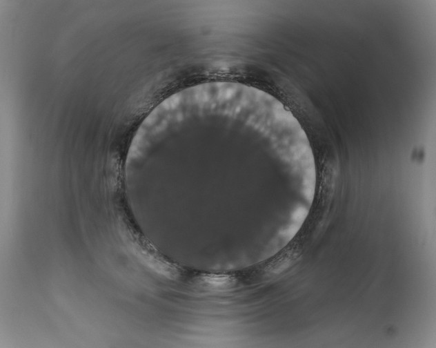 X0000111910659200908241027