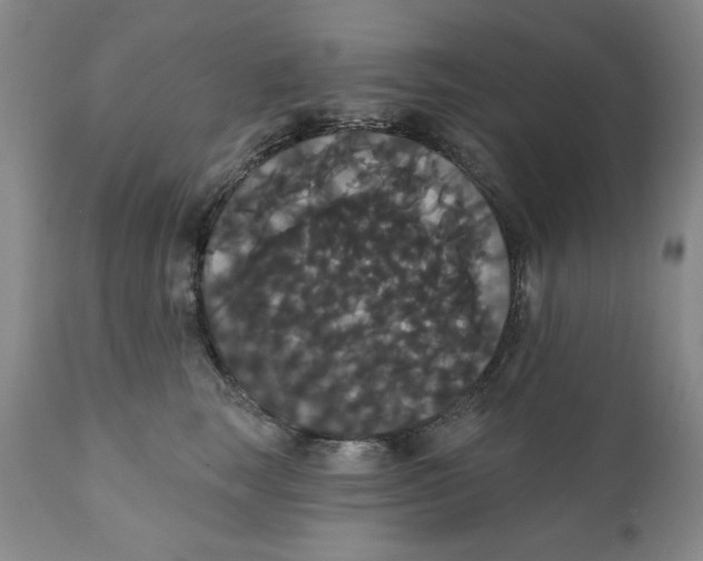 X0000111910663200908241027