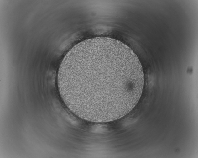 X0000111910664200908241028