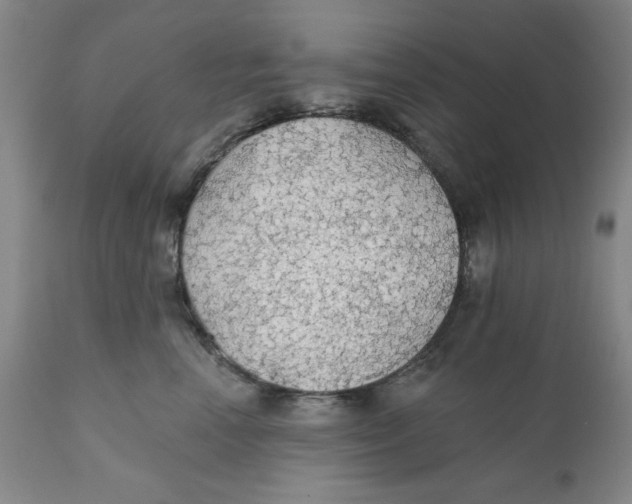 X0000111910666200908241028