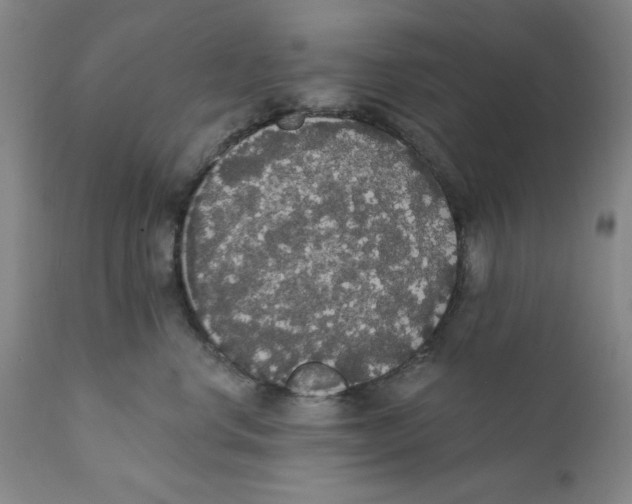 X0000111910668200908241028