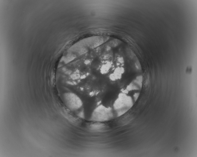 X0000111910669200908241028