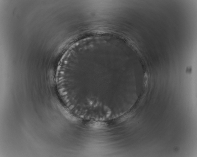 X0000111910670200908241028