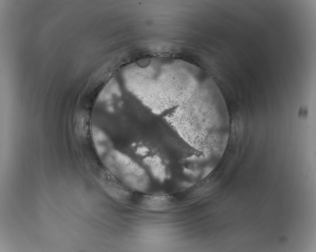 X0000111910671200908241028