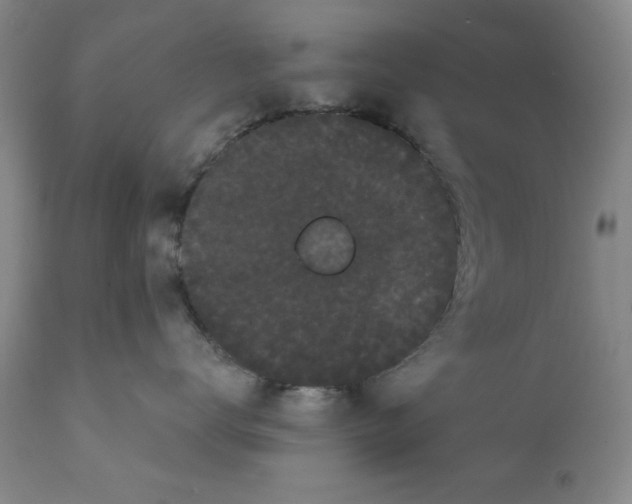 X0000111910672200908241028