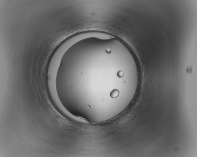 X0000111910673200908241027