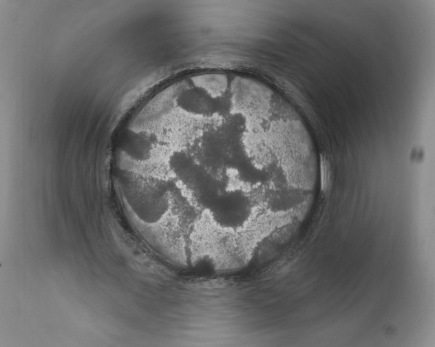 X0000111910675200908241027