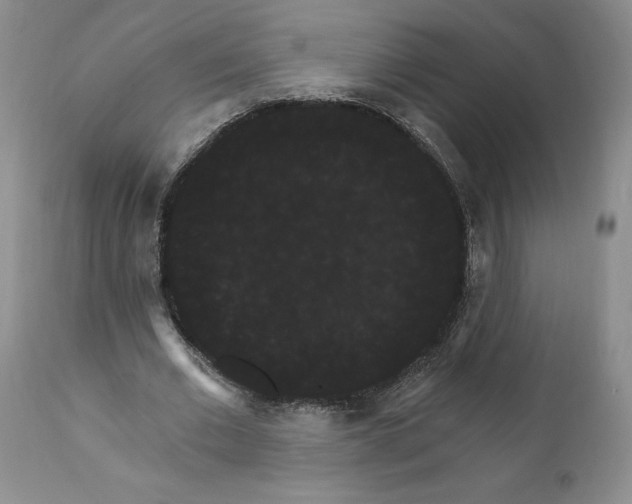 X0000111910677200908241027