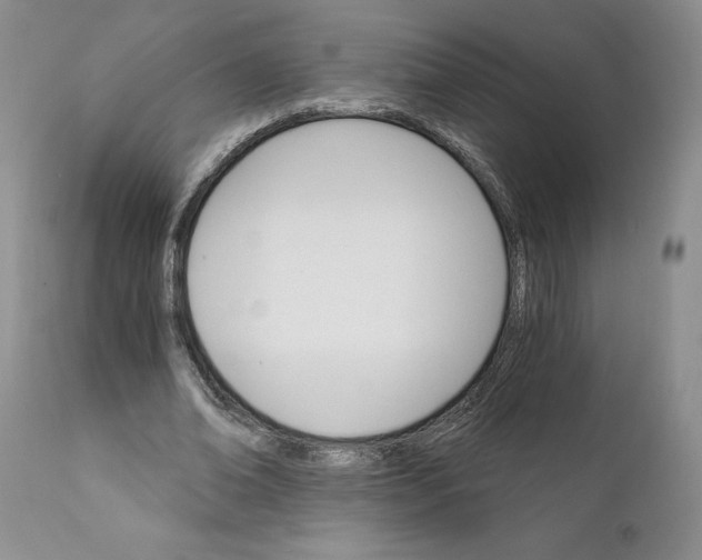 X0000111910678200908241027