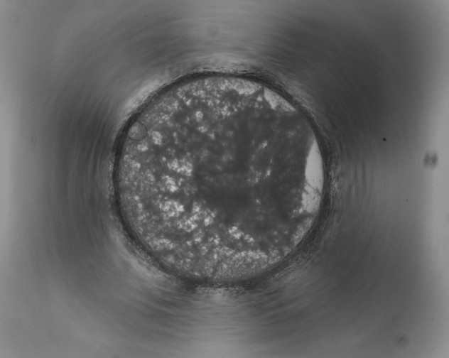 X0000111910679200908241027