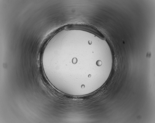 X0000111910680200908241027