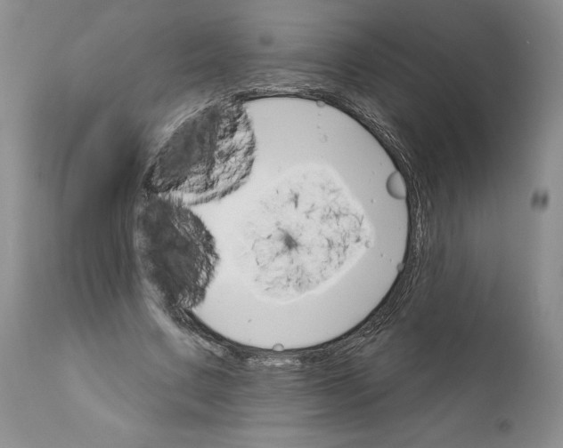 X0000111910683200908241027
