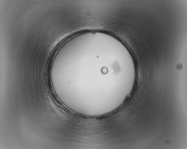 X0000111910684200908241027