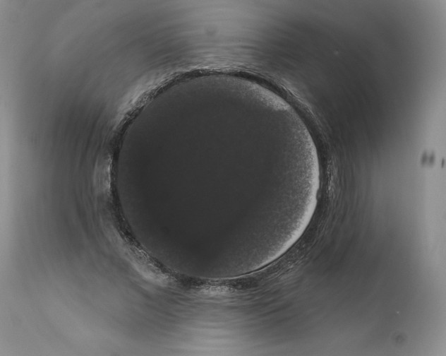 X0000111910685200908241027
