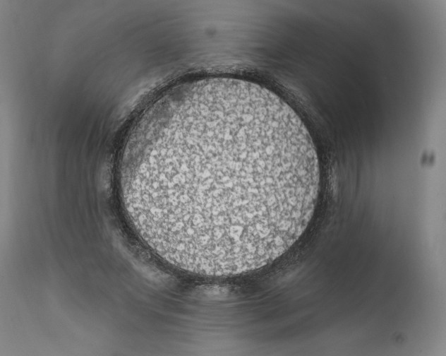 X0000111910687200908241027