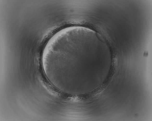 X0000111910688200908241027