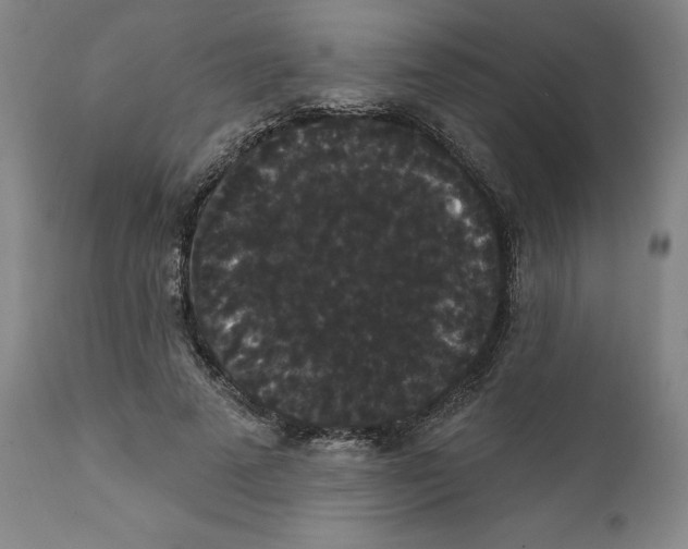 X0000111910689200908241027