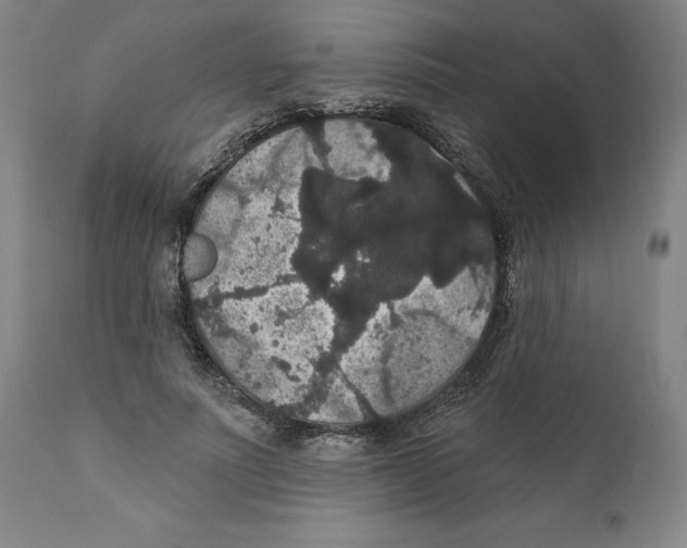 X0000111910691200908241027