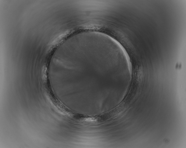 X0000111910692200908241027