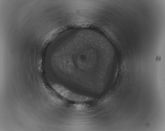 X0000111910693200908241027