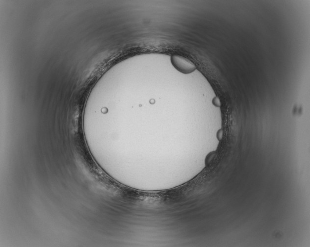 X0000111910694200908241027