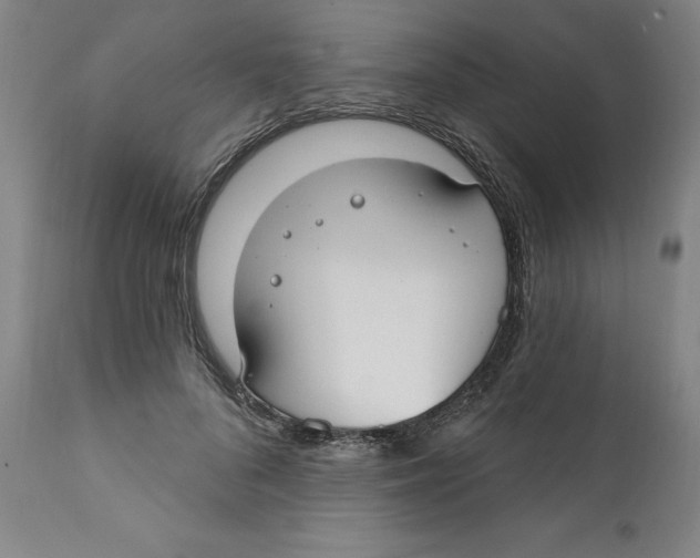 X0000111910696200908241027