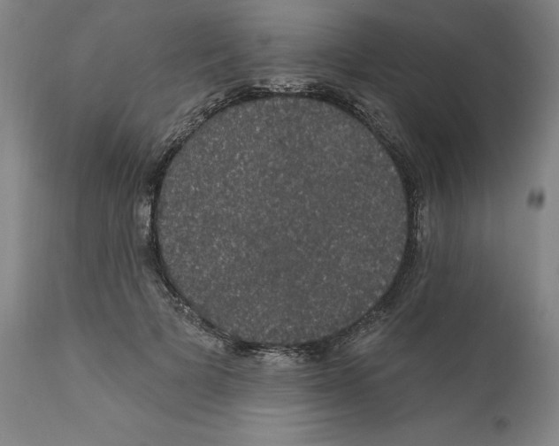 X0000111910697200908241027