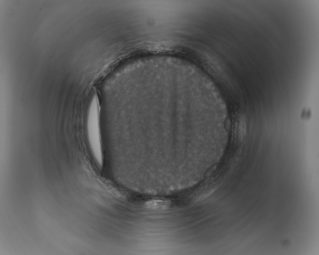 X0000111910700200908241027