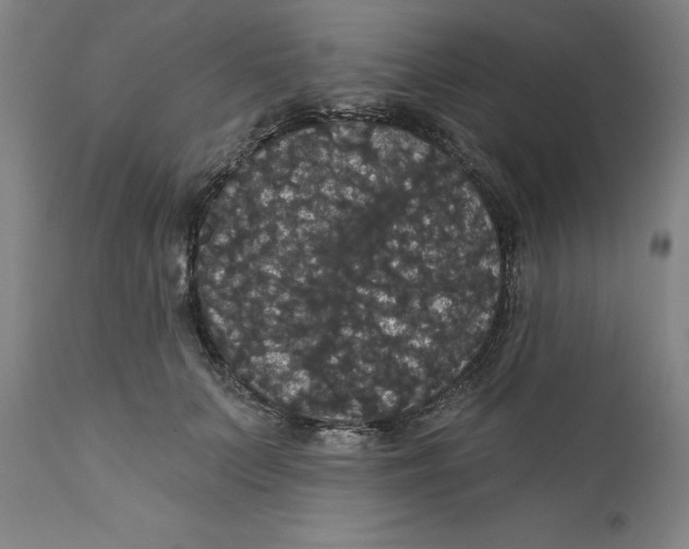 X0000111910703200908241027
