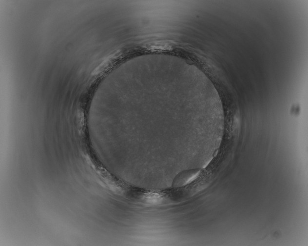 X0000111910704200908241027