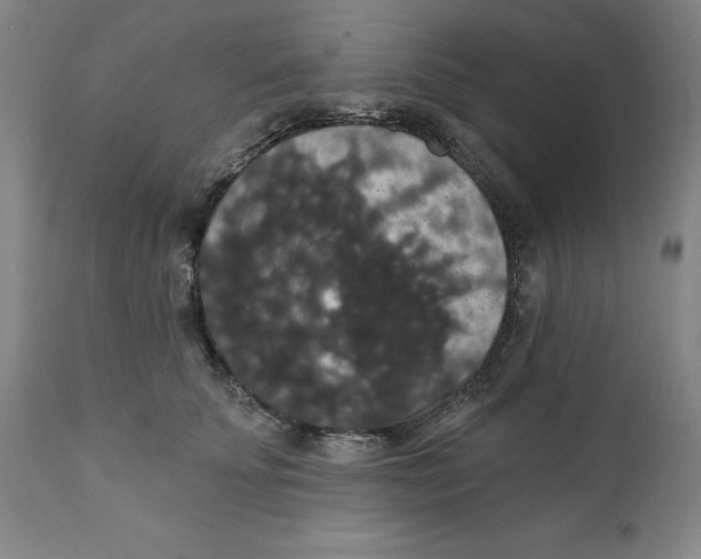 X0000111910707200908241026