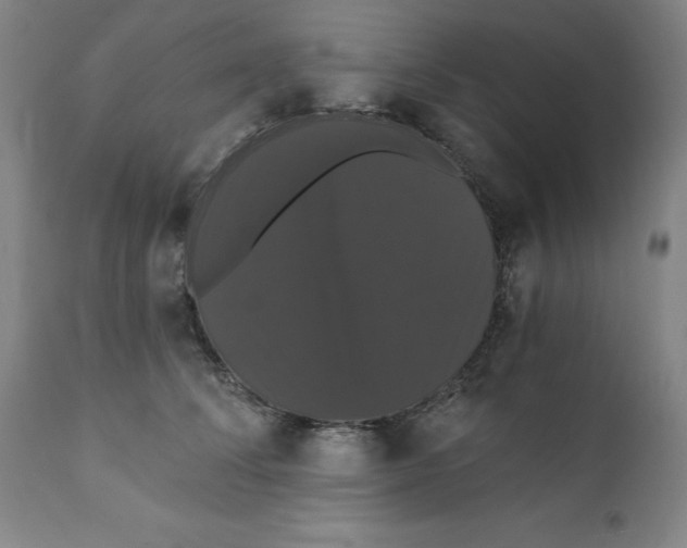 X0000111910708200908241026