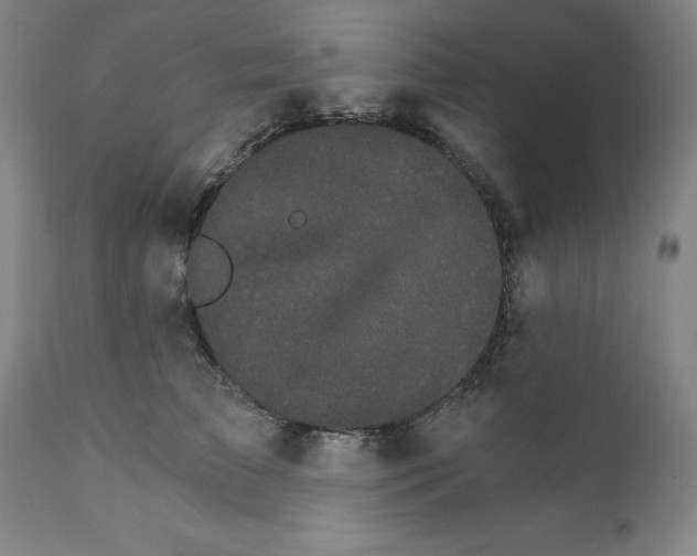 X0000111910709200908241026