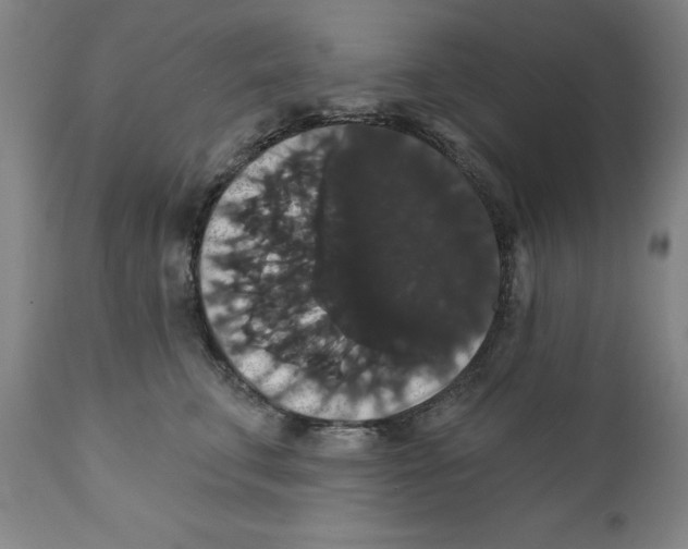 X0000111910711200908241026