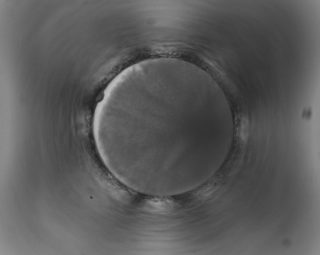 X0000111910712200908241026